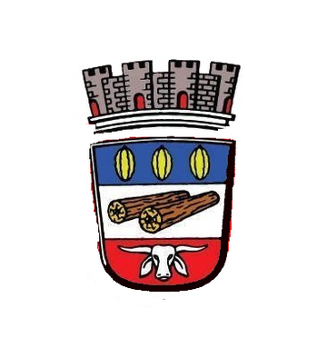 Brasão do Município de Medeiros Neto